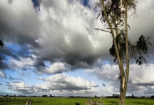 Scout连续十场比赛得分超过比赛规则变更，切尔西不断突破！